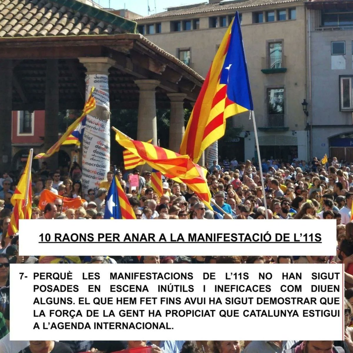 ANC Sant Celoni tweet media