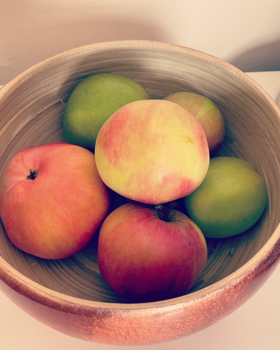 My lovely neighbour gave me these cooking apples. Any (simple!) ideas on what I should make with them?! #Spoonies #Spoonie #pwME #Recipes #MyDailyThankYou