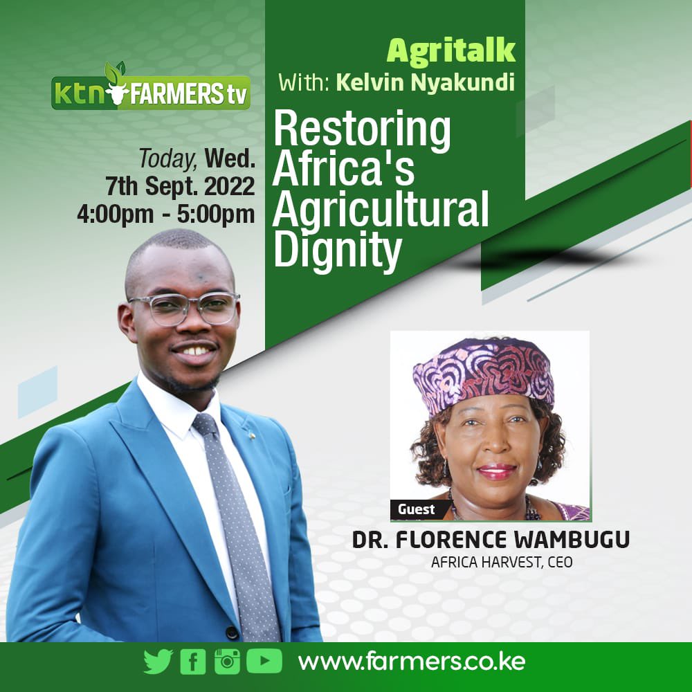 Africa Harvest Biotech Foundation International tweet media