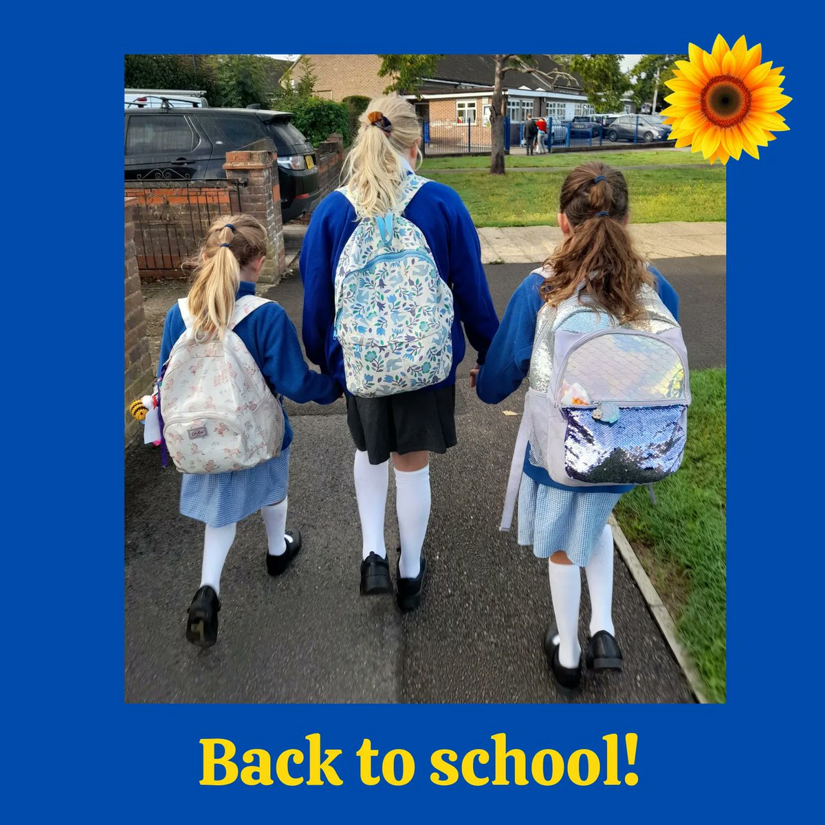We couldn't resist sharing this snap of three of the Sunflower seedlings heading back to school on Monday 😍
Those bright white socks didn't stay clean for long...
#SunflowerEventTeam #BacktoSchool #newshoes #liftshare #workingmums #teamwork #mumsinbusiness #eventprofessionals 🌻