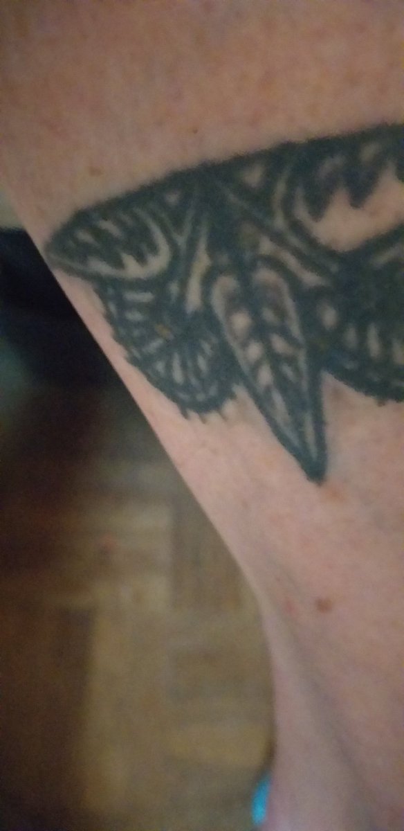 Satureja2's tweet photo. #AlanGarner has been one of my favourite authors all my life. Child and woman: here is my #OwlService tattoo to prove it. Go #TreacleWalker ! https://t.co/V8s7UKqBpk