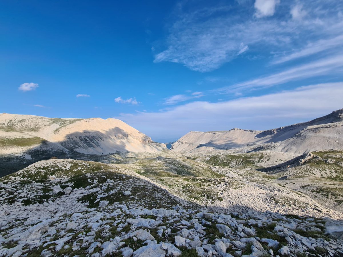 parcomaiella's tweet photo. Aumento delle temperature e diminuzione della biodiversità vegetale in alta quota: il destino delle praterie calcaree alpine nell'Appennino Centrale
https://t.co/KrSFS5kJZY https://t.co/KXLLqFrOOt