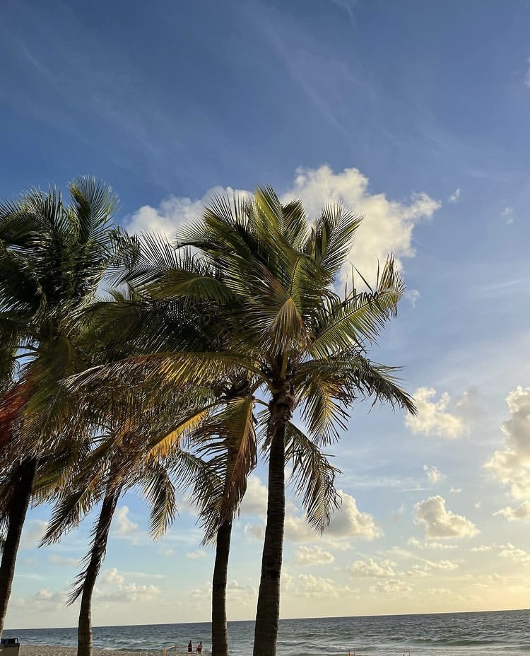 Let's seas the day 🌊

#goodmorning #fortlauderdale #morning #southflorida #florida #september #fall #beach #laudy #wakeup #ftlauderdale #sandbetweenmytoes #lauderdale #broward #wednesday #wcw #oceanview #visitflorida #lauderdale