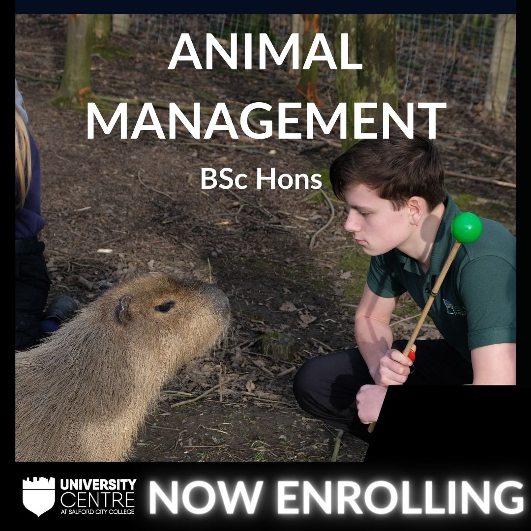 UniCentreSCC's tweet image. Passionate about a career in Animal Management?
 
#StepIntoYourFuture at the University Centre at Salford City College.
 
We have limited space left for our #BSc in Animal Management.
 
Call our Clearing Team on 0161 631 5075.
 
#AnimalManagement #Clearing #SCCGroup #UniCentreSCC