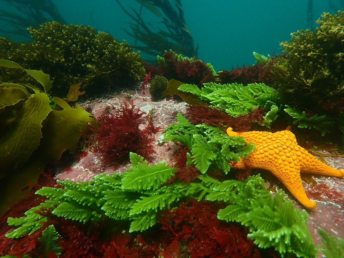 Scott Bennett tweet media