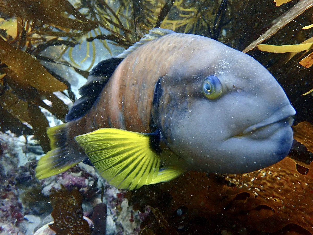 Scott Bennett tweet media