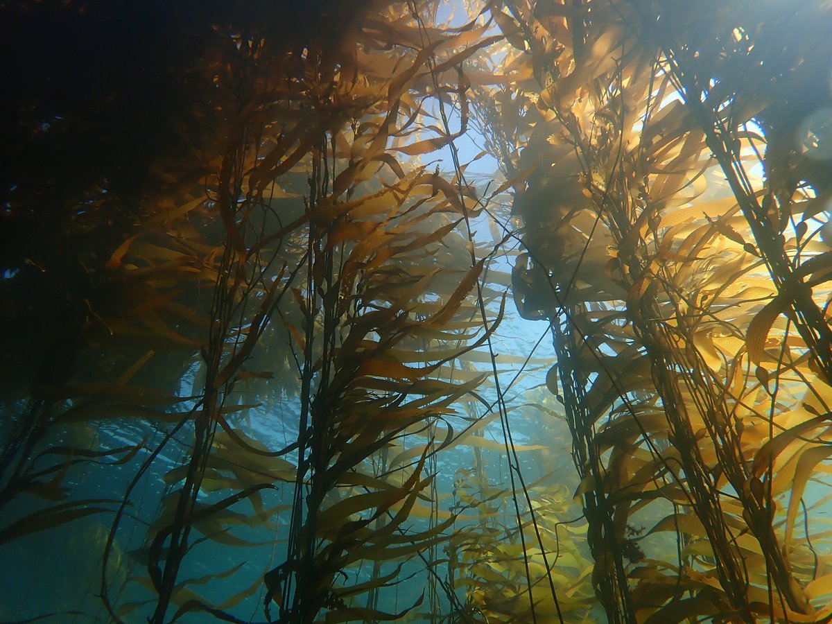 Scott Bennett tweet media