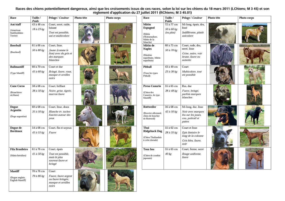 a_g_d_a's tweet photo. ⚠️ Races canines interdites à Genève ⚠️ Vous en pensez quoi ? #AGDA https://t.co/7Qv8uFyKVr