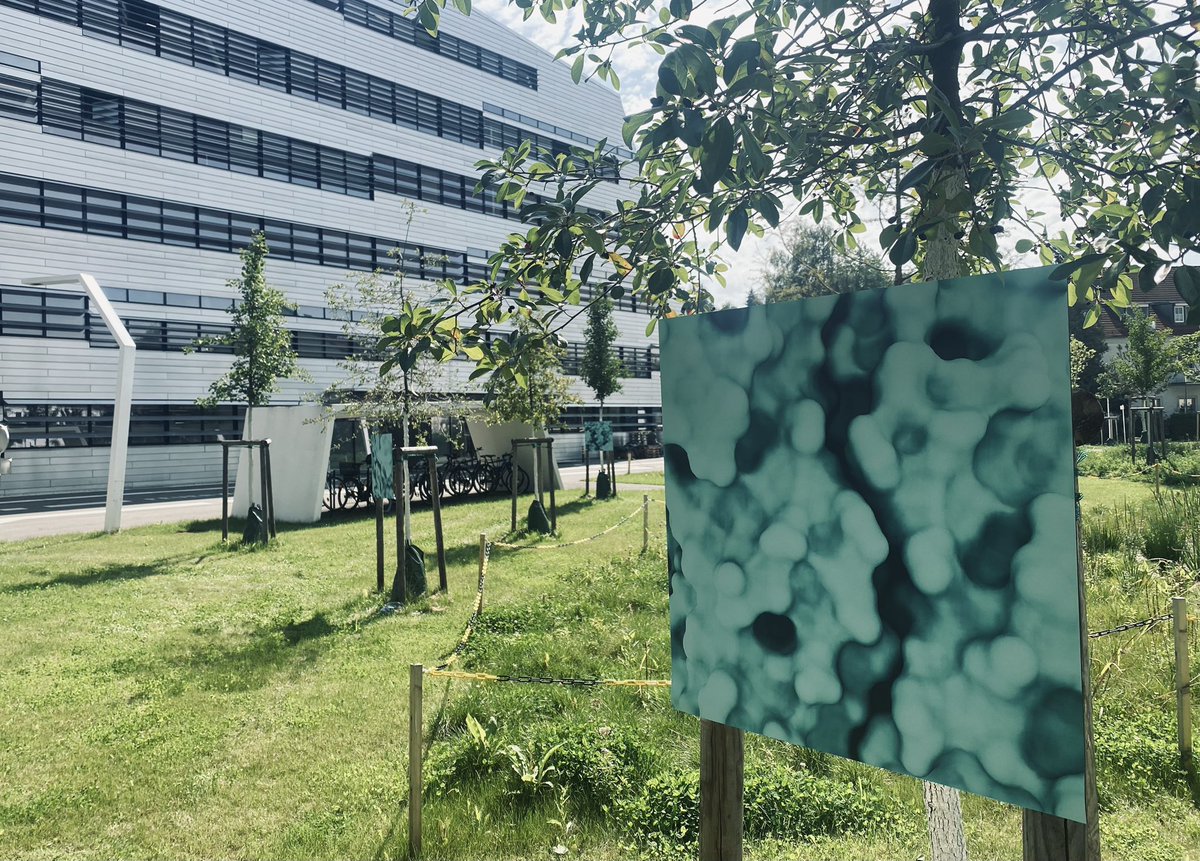 Jörg Menche tweet media