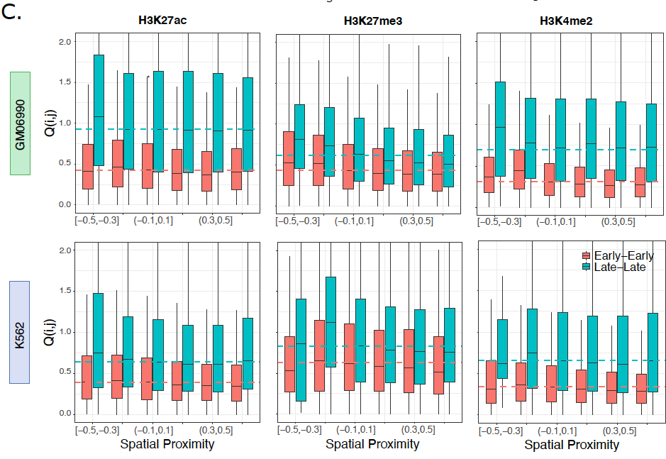 Excitingly, we found all 3 predicted patterns in various histone mark ChIP-seq datasets from two different cell lines. Even more interestingly, the patterns were visible in inter-chromosomal loci pairs, suggesting histone diffusion across different chromosomes! (7/8)