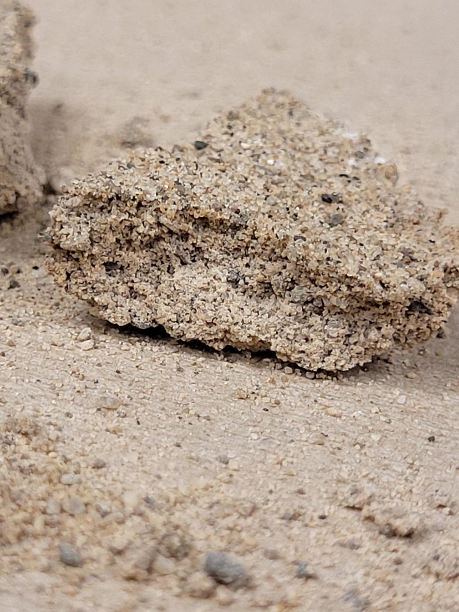 craignorriscbc's tweet photo. Can you grow bricks? Turns out, the answer is yes. A new invention, called #BioBrick, was created by @UWaterloo students. One of its creators, Adrian Simone, joins us at 7:20 @CBCKW891 to explain - and to share some exciting news! LISTEN LIVE: https://t.co/eMMgCDJlt6 https://t.co/NQIDUYaeHc