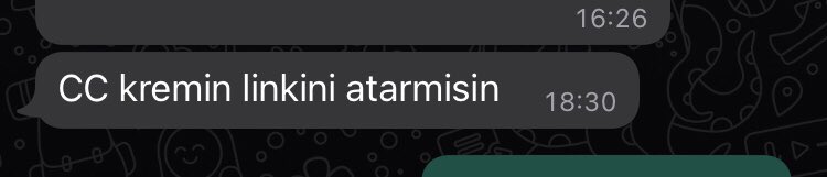 Seni seviyorum demese de olur