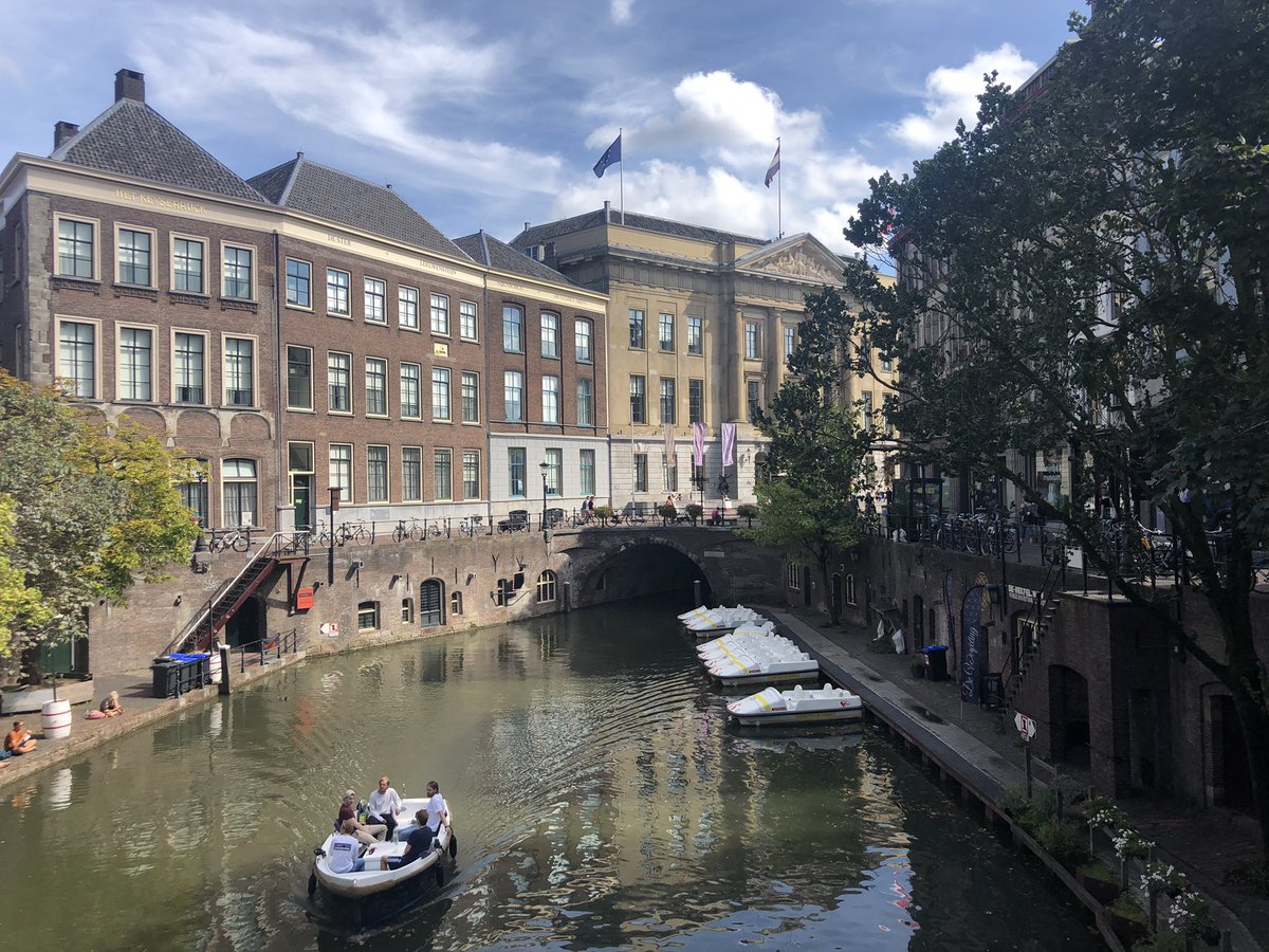 Patrick Ellis tweet media