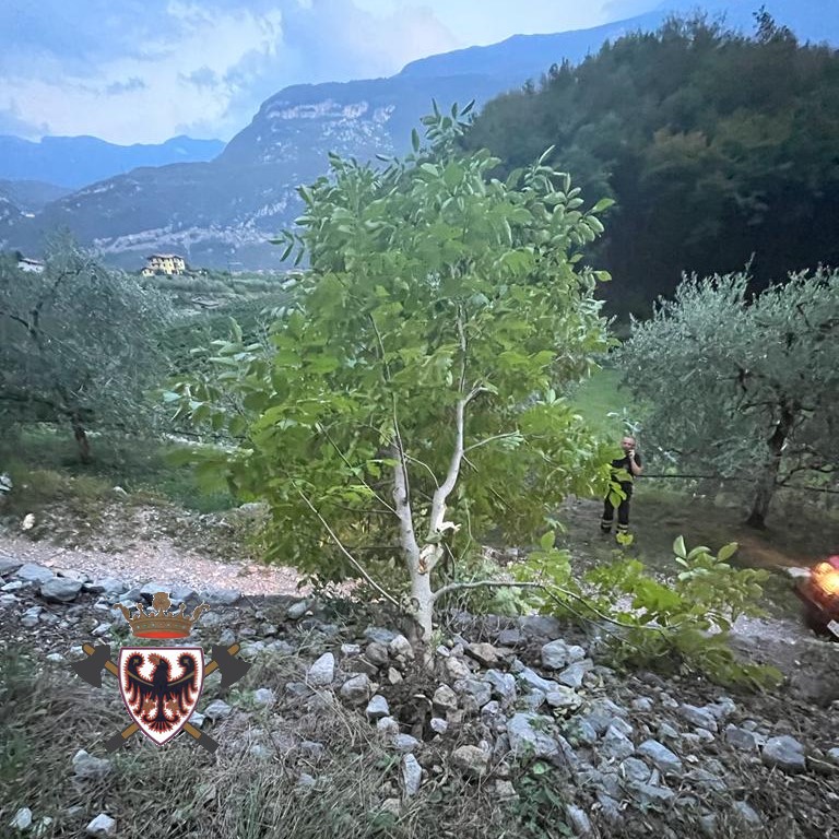 fedvvfvoltn's tweet photo. 🚨Una frana si è staccata ieri, verso le 19:30, a Dro lungo la strada dei Molinei. I #vvfDro hanno rimosso il materiale e messo in sicurezza l'area. Questa mattina il sopralluogo aereo: la situazione è sotto controllo. Individuato il punto dal quale si è originato il distacco. https://t.co/mPCp5XH6QI
