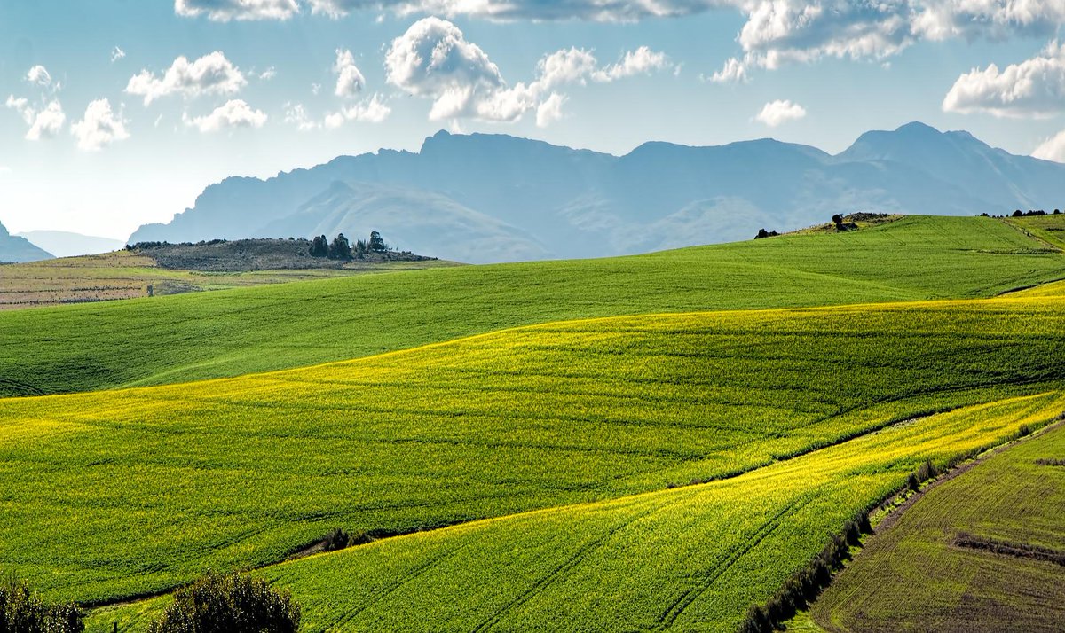 AgriCoopValue (@valuecoop) on Twitter photo Future of food & agriculture is on the forefront again! One of greatest tech events,<a href="/Beyondexpo1/">Beyond 4.0 Expo</a>, takes place in Thessaloniki, Greece & among themes to be discussed is digital transformation of #agriculture whereas a workshop on smart farming is also organised. #ErasmusPlus AGGRA Future of food & agriculture is on the forefront again! One of greatest tech events,<a href="/Beyondexpo1/">Beyond 4.0 Expo</a>, takes place in Thessaloniki, Greece & among themes to be discussed is digital transformation of #agriculture whereas a workshop on smart farming is also organised. #ErasmusPlus AGGRA
