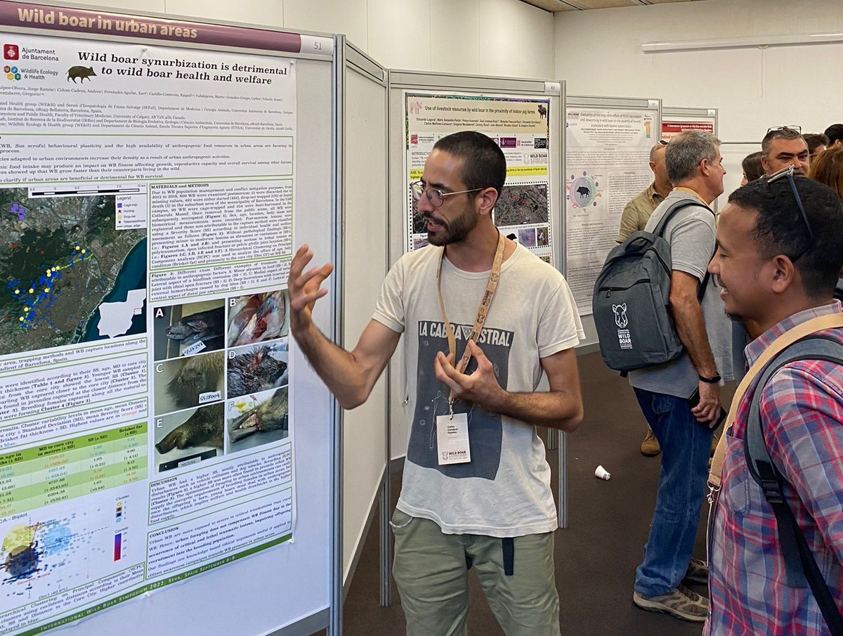 The urban wild boar issue is quickly gaining recognition in urban ecology. Carlos Conejero is explaining how the urban lifestyle has deleterious effects on wild boar in the <a href="/WildBoar2022/">International Symposium on Wild Boar & other Suids</a>