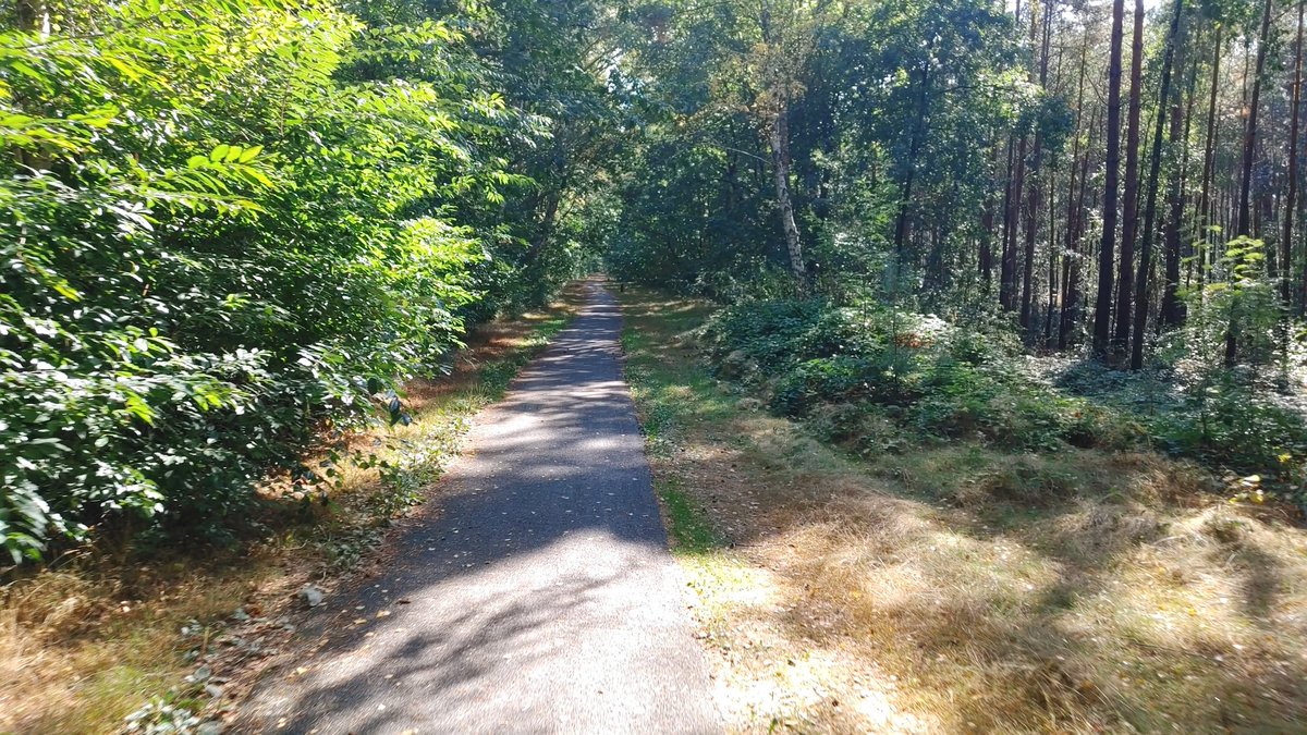 DonjaHoevers's tweet photo. Klein kadootje om hier te fietsen 🚴♀️ #woensdag #fietsleven https://t.co/TOEvkDEqH6