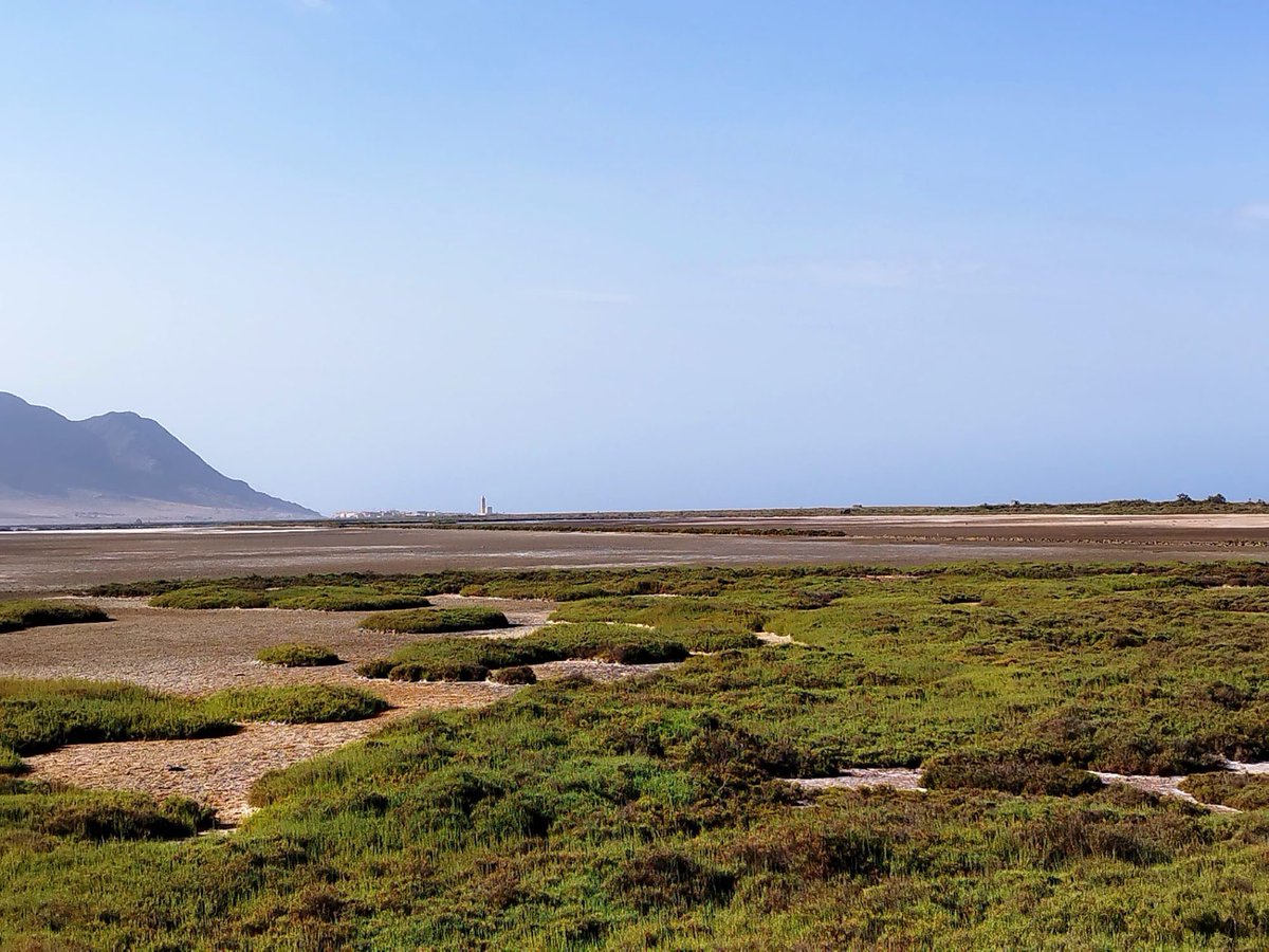 esdecirdiario's tweet photo. Aquí os dejo un antes y después de este paraje. Hace meses una avería en el canal de entrada de agua secó las salinas de Cabo de Gata (Almería) Las aves que poblaban las charcas del Parque Natural emigraron hacia otras zonas húmedas y aún no hay solución. https://t.co/nFDCfeDROV