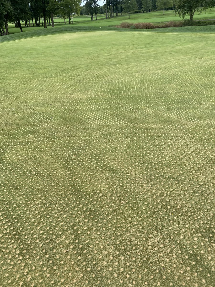 rrgolfsuper's tweet photo. Started greens aerification and fwy verticutting yesterday. The mist/drizzle did not allow things to dry late day but made good progress anyway. Front nine may be the only holes open tomorrow. If back does open, might be late in the day. Practice facility will be open mats only! https://t.co/yCVrLjWZOf