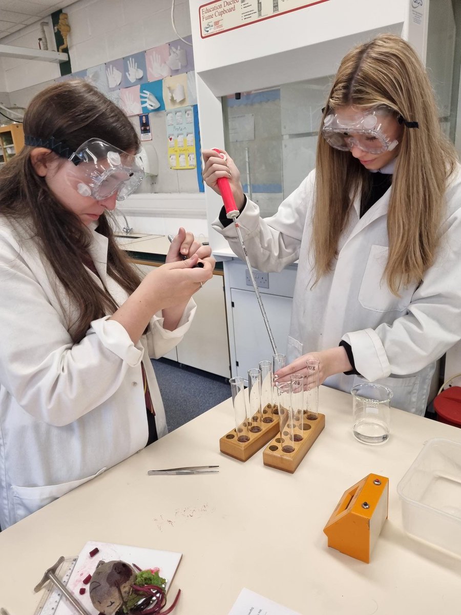 St Margaret's Academy Science tweet media