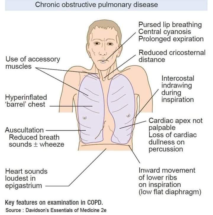 Primary outcomes from the literature on systematized breathing... |  Download Scientific Diagram