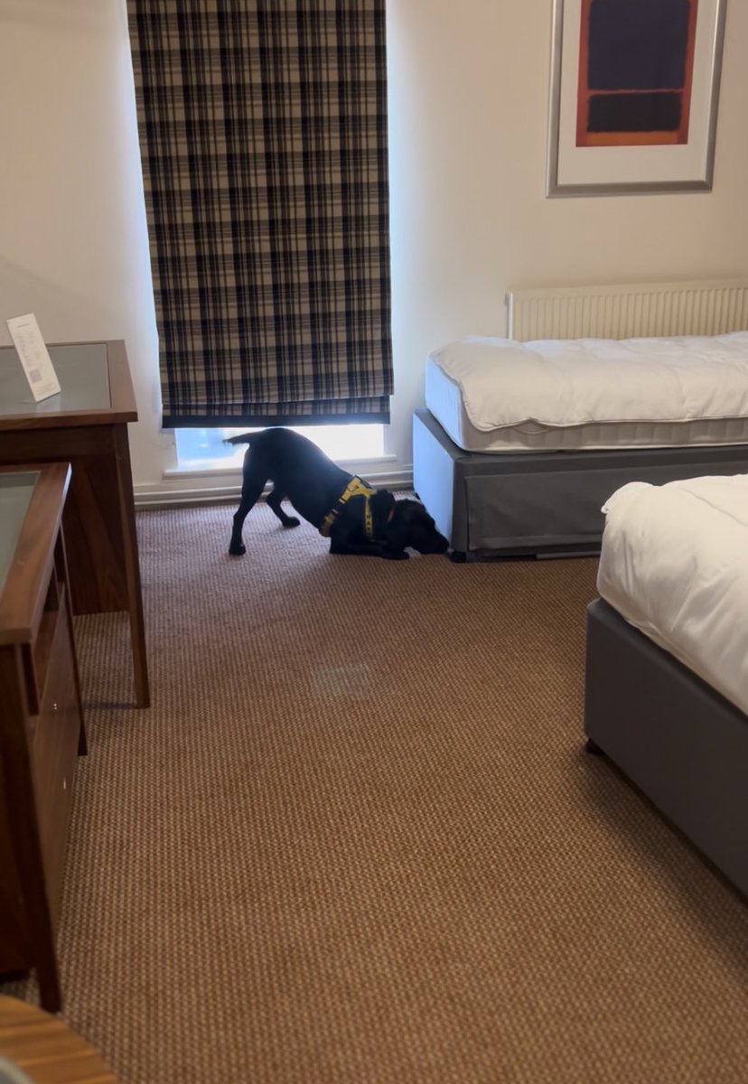 We are always grateful to business owners who support us by allowing us access to their venues for training. 
If you are a business owner in Warwickshire of a vacant site or don’t mind the dog’s working around your work place in or out of business hours please get in touch