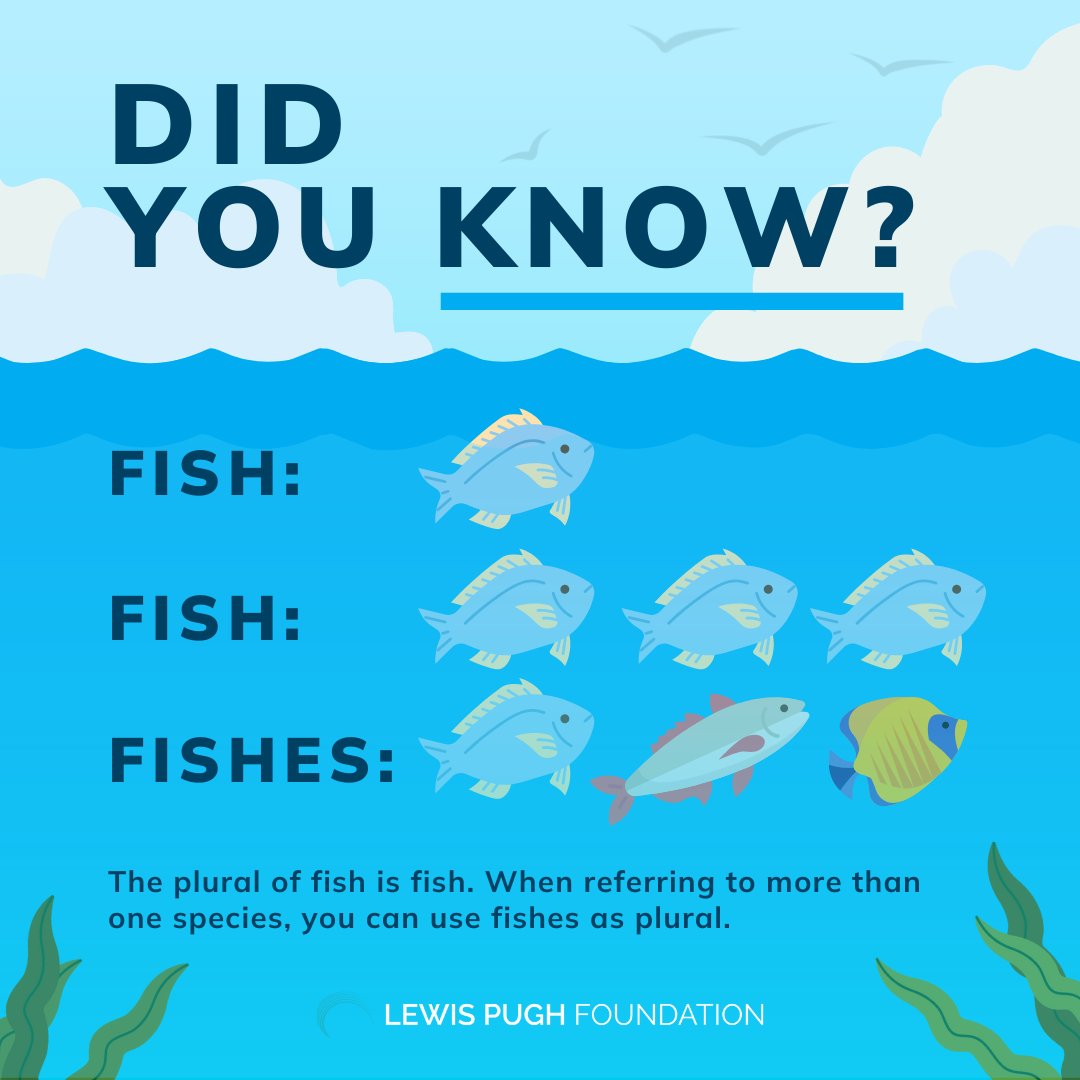Fish or Fishes - what is correct? 🐠👇🐡