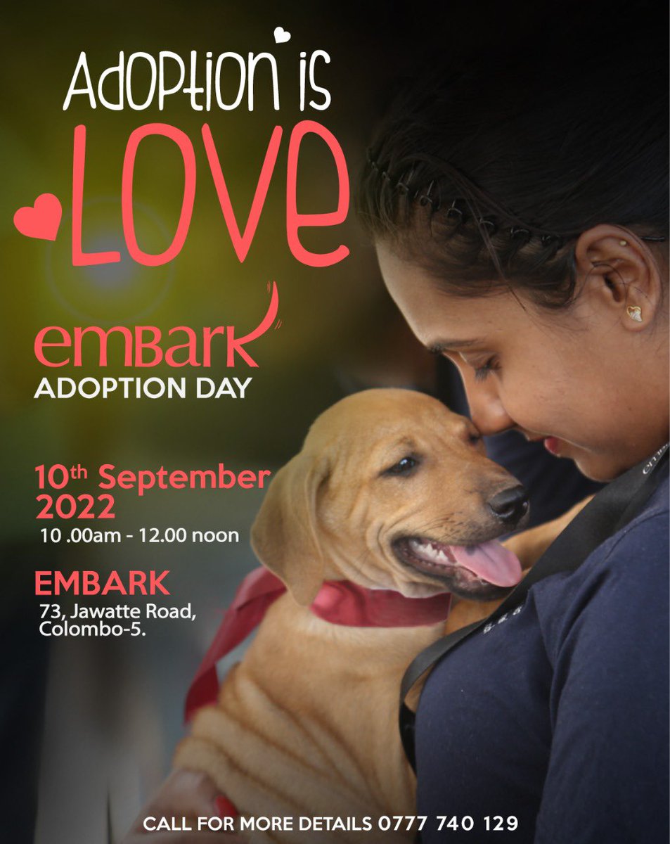 EmbarkLK's tweet photo. We will be having our puppy adoption day this Saturday at the Embark HQ from 10 am to 12 noon. Drop by to adopt a furry friend ❤️ #embark #adoptdontshop #choosetoadopt #srilanka #makeadifference https://t.co/973rVHYkaN