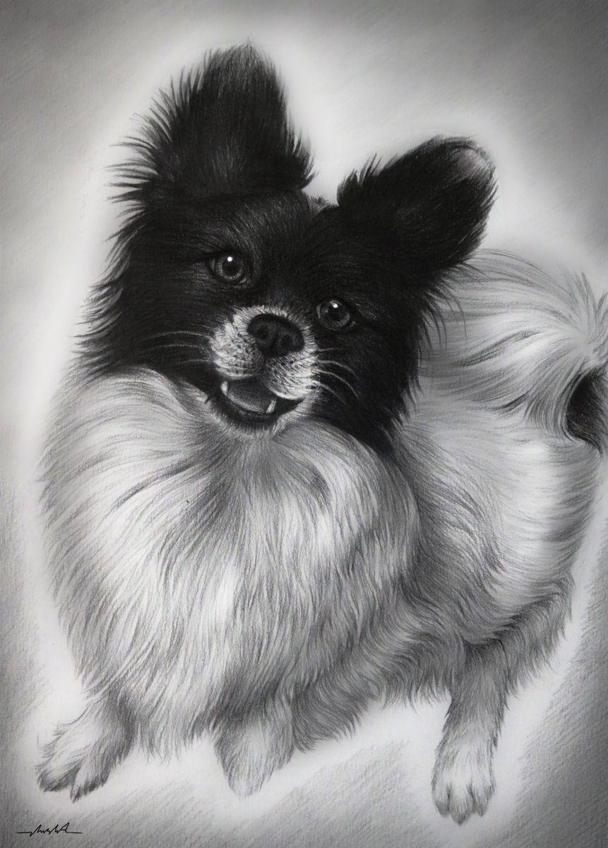 #Niushart #NFTCommunity #NFTProject #NftColllector #MetaverseNFT #Pencildrawing #rarible #WomeninNFTs