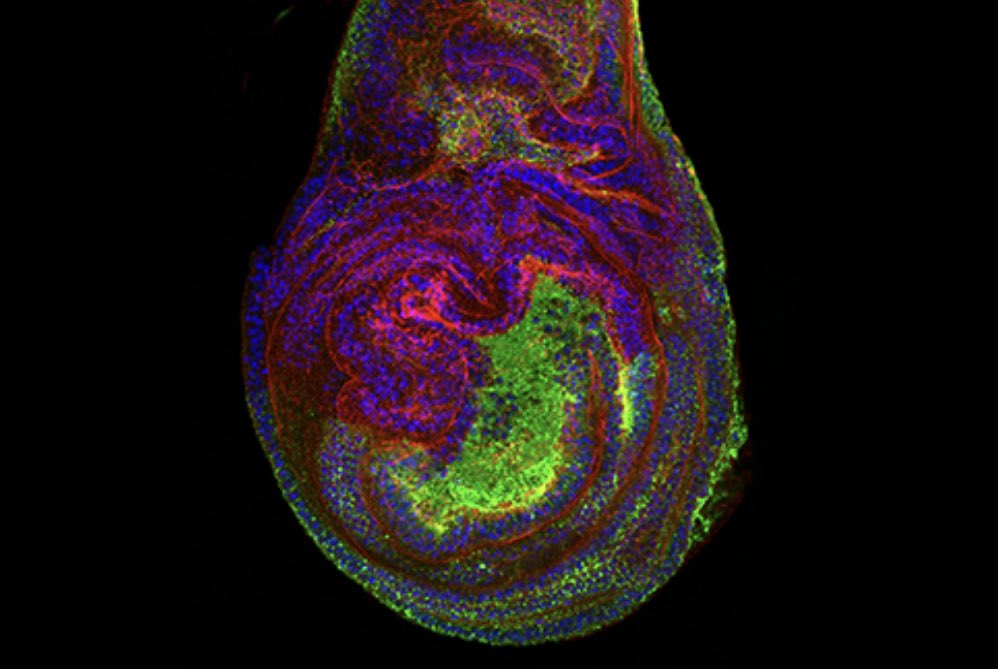 Es con mucha ilusión que anunciamos
que el #CABD Ileva al Museo Casa de la ciencia de #Sevilla @museocasaciencia una galería fotográfica llamada "De la mano del CABD: Paso a paso en el camino de la Biología" organizado por <a href="/jcarvajal/">jcarvajal</a> <a href="/JLopezrios_/">Javier Lopez-Rios</a> <a href="/ambbneto/">Ana Neto</a> casadelaciencia.csic.es/es/exposicion/…