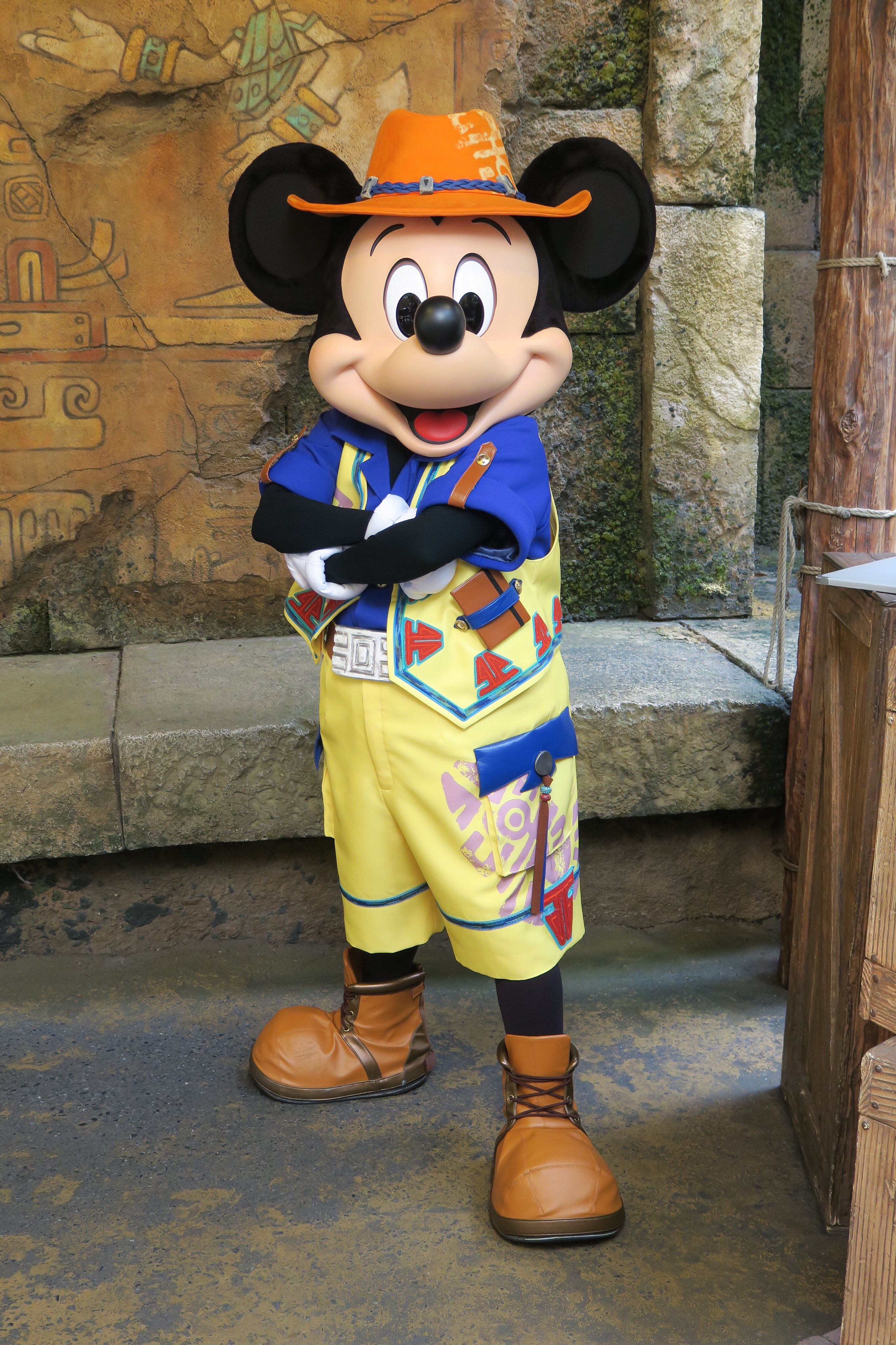 つっちー Dあか Tsuchi Disney Twitter