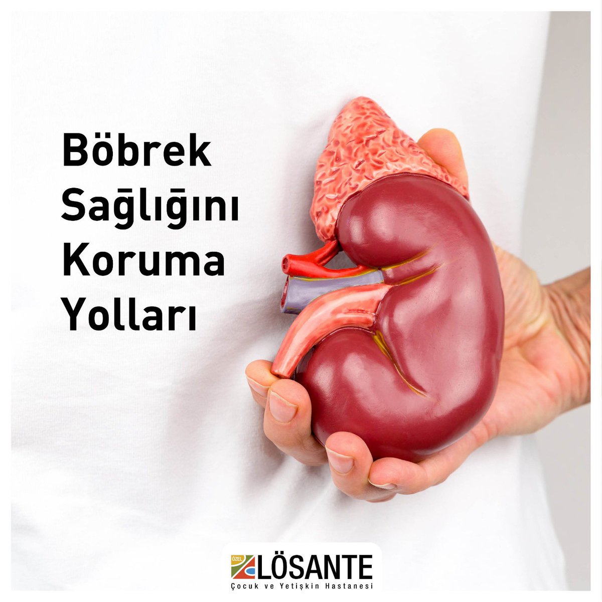 Спасут почку. Почка изображение. Смешные почки. Спасут почку. Пациент с почечной недостаточностью.