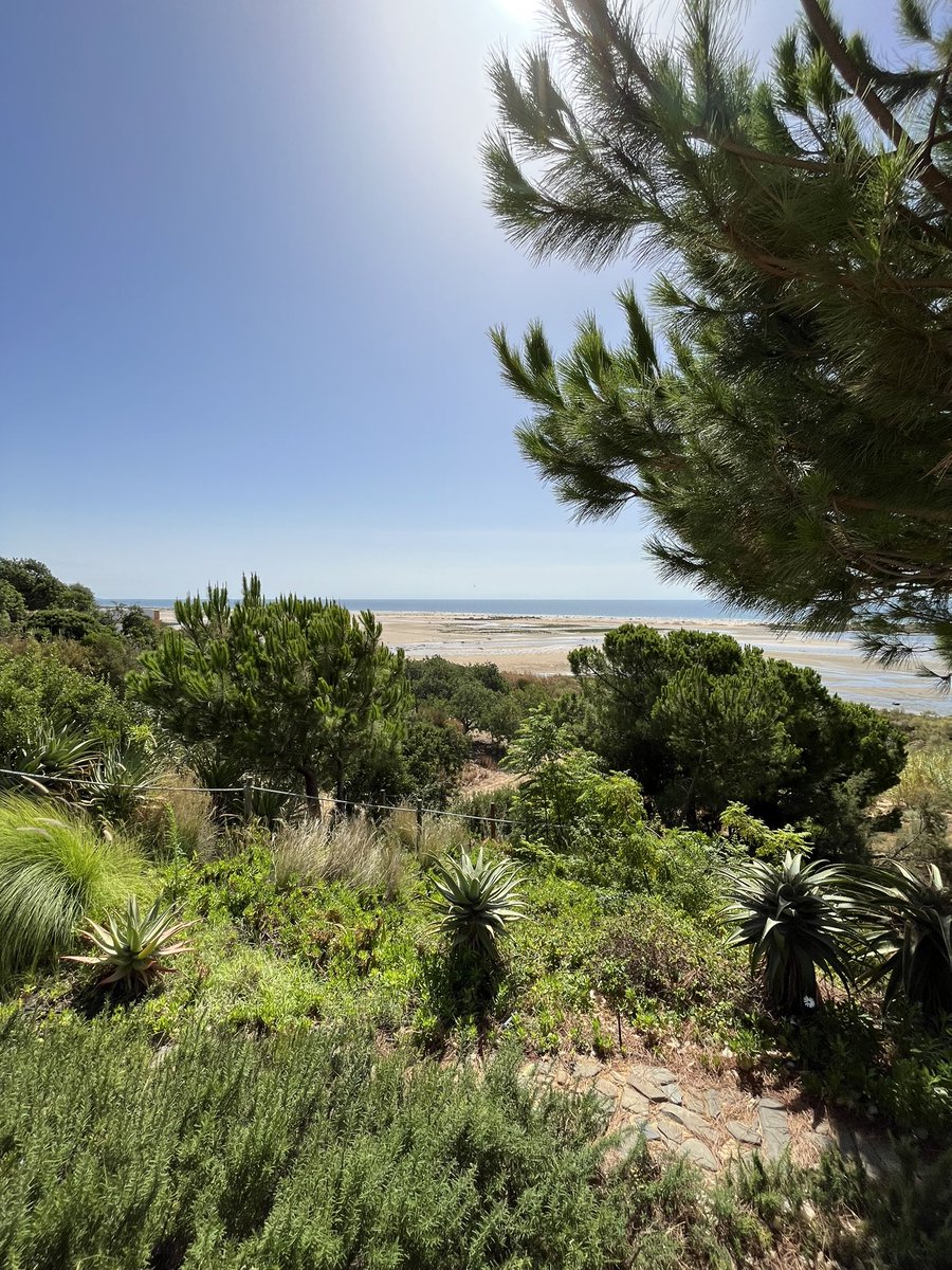 Gm to all #Ens family 

#ensdomain 
#10kclub 
#999Club 
#24hclub