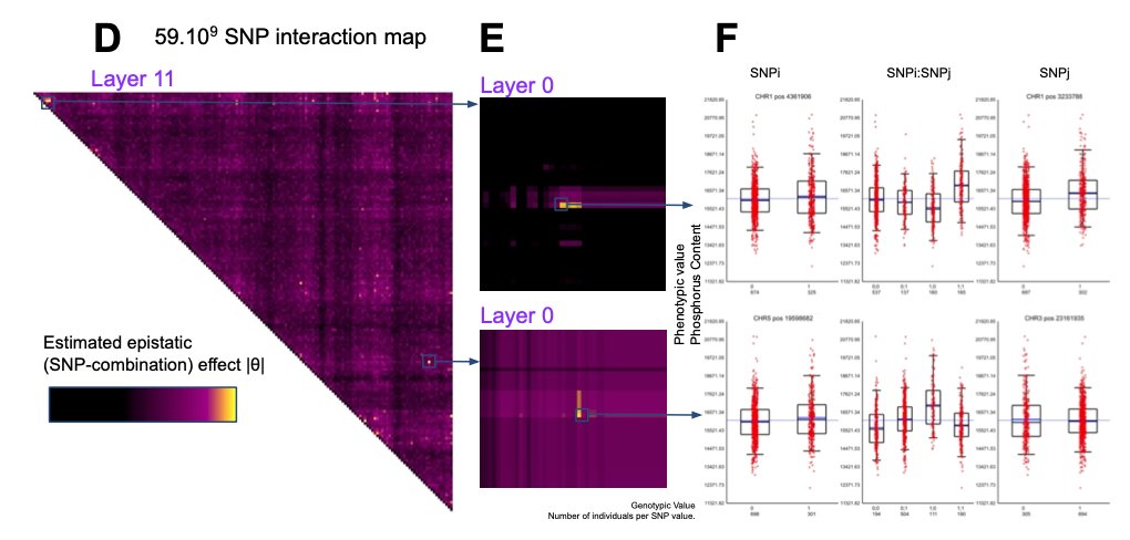 Gabriel Krouk 光希 tweet media