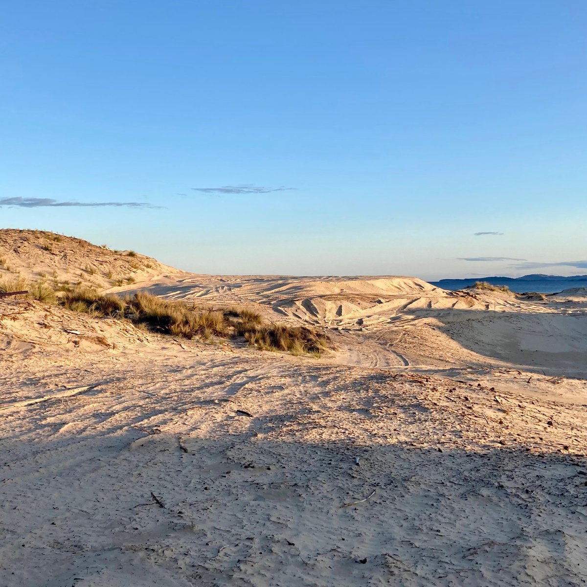 7milegolf's tweet image. Golf hole..

📸 - @DeVriesDesigns 
#7mb #Tasmania #Australia