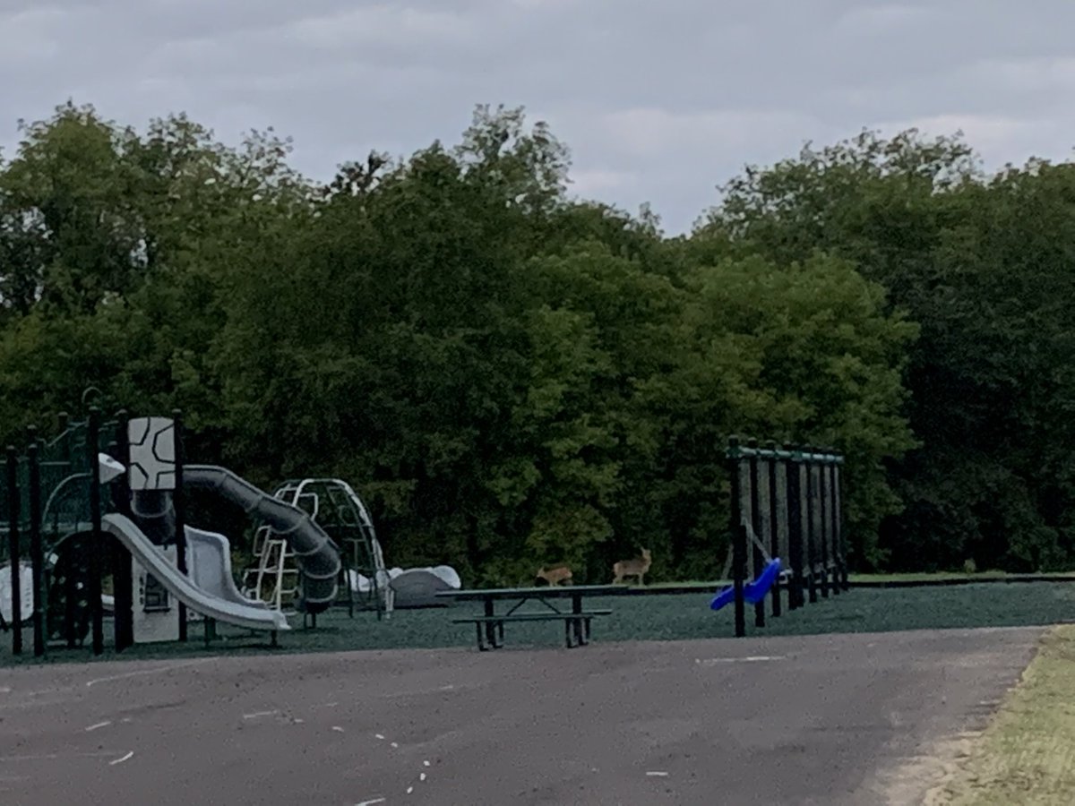 whsd_supt's tweet photo. The new #VanguardPride elementary school playground is popular morning hangout for these two. https://t.co/3edVKUOxPG