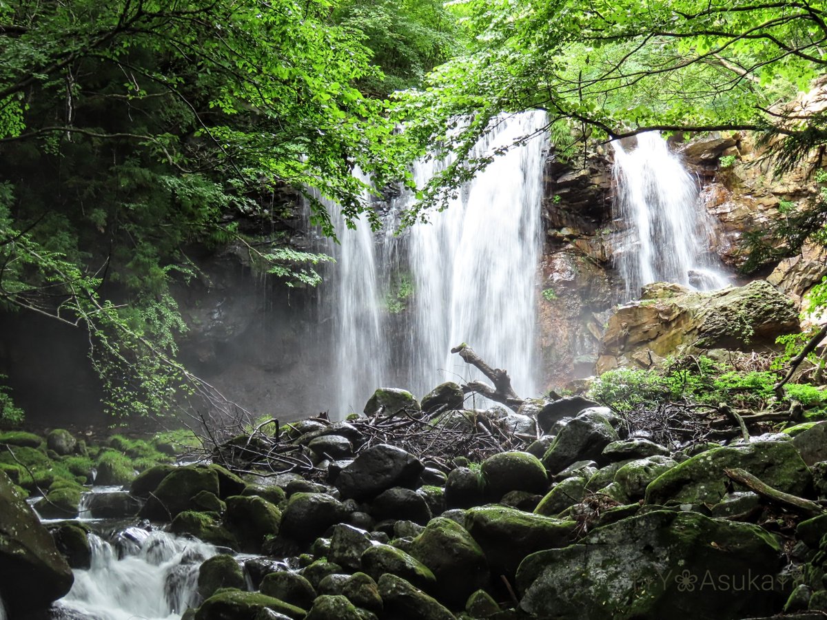 yumeasutw's tweet photo. 涼を求めて ⑥ 🏞️

#乙女の滝 の側からの眺め💙
マイナスイオンを
たっぷり浴びて
心は穏やかに🍀
服はしっとり👕

#栃木県 #那須塩原市
#滝 #waterfall
#沢名川
#8月12日訪問
#a2022 #a0907 #a202209 #a2022092 https://t.co/j31ncVbLk5