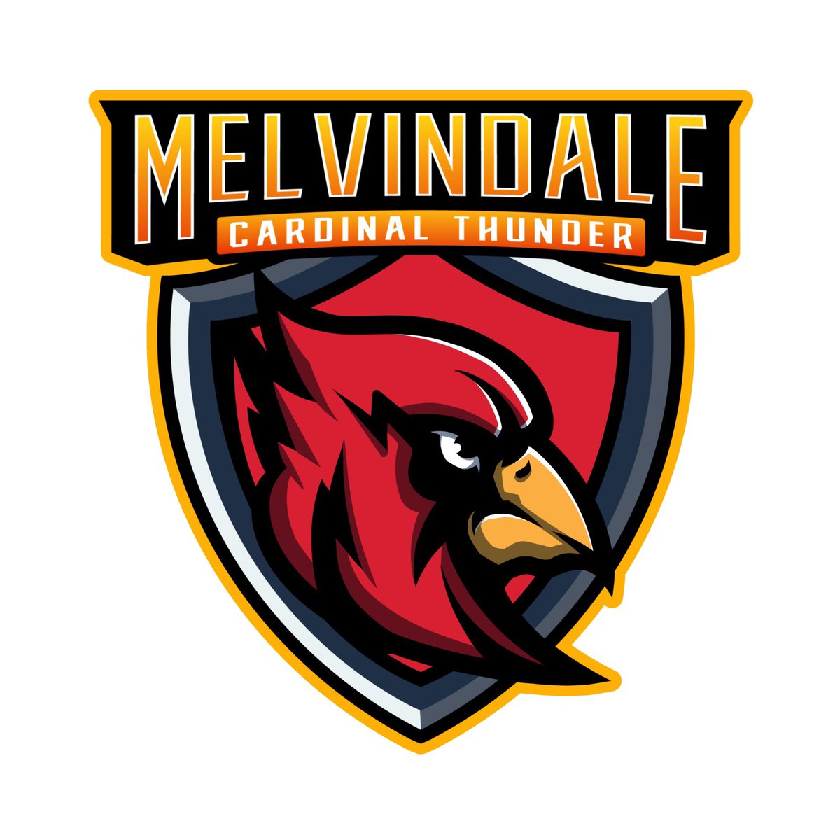 IndigoFirm's tweet photo. Excited to announce our client @thejointchiro in Allen Park, Michigan is a proud sponsor of Melvindale High School, the Cardinal Thunder!  Good luck this year Cardinal Thunder! 

As your community based chiropractor, The Joint Allen Park is here to help you play pain free! https://t.co/zuLpjXwiRh