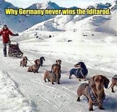 SwedeNoyd's tweet photo. I always wondered?? https://t.co/OlKzOCNOWl