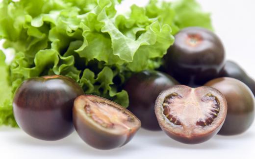 EasyasPlay's tweet image. Did you know that there are black tomatoes that you can actually eat? There are many sizes of them and there are so many different types of these tomatoes! 

#utkbiobox #easyasplay #tomato
@DerryberryLab @ederry1 @UTK_EEB @UTKHerbarium  @VolsTeach 

homequestionsanswered.com/what-is-a-blac…