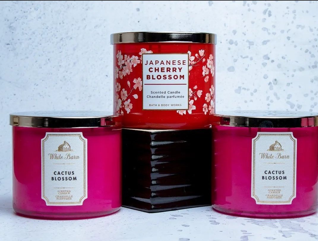 ju_curious's tweet photo. Do not let the week go on! π
Reward yourself today with a 3 wick or single wick Scented candle Today!
For only 3000 & 2000ksh each, respectively.
.
.
.
#transline #Baba #Appleevent #paypal #Djbash #IkoKaziKE https://t.co/P81IE9p8ha