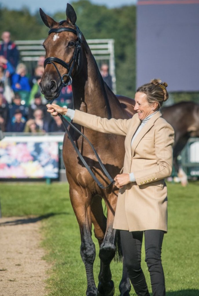 EasyasPlay's tweet image. Did you know that horses can mirror a human's heart rate by mimicking the person who touches them? This means they can detect stress!

#utkbiobox #easyasplay #horses #animals 

jumpernation.com/two-bodies-one…