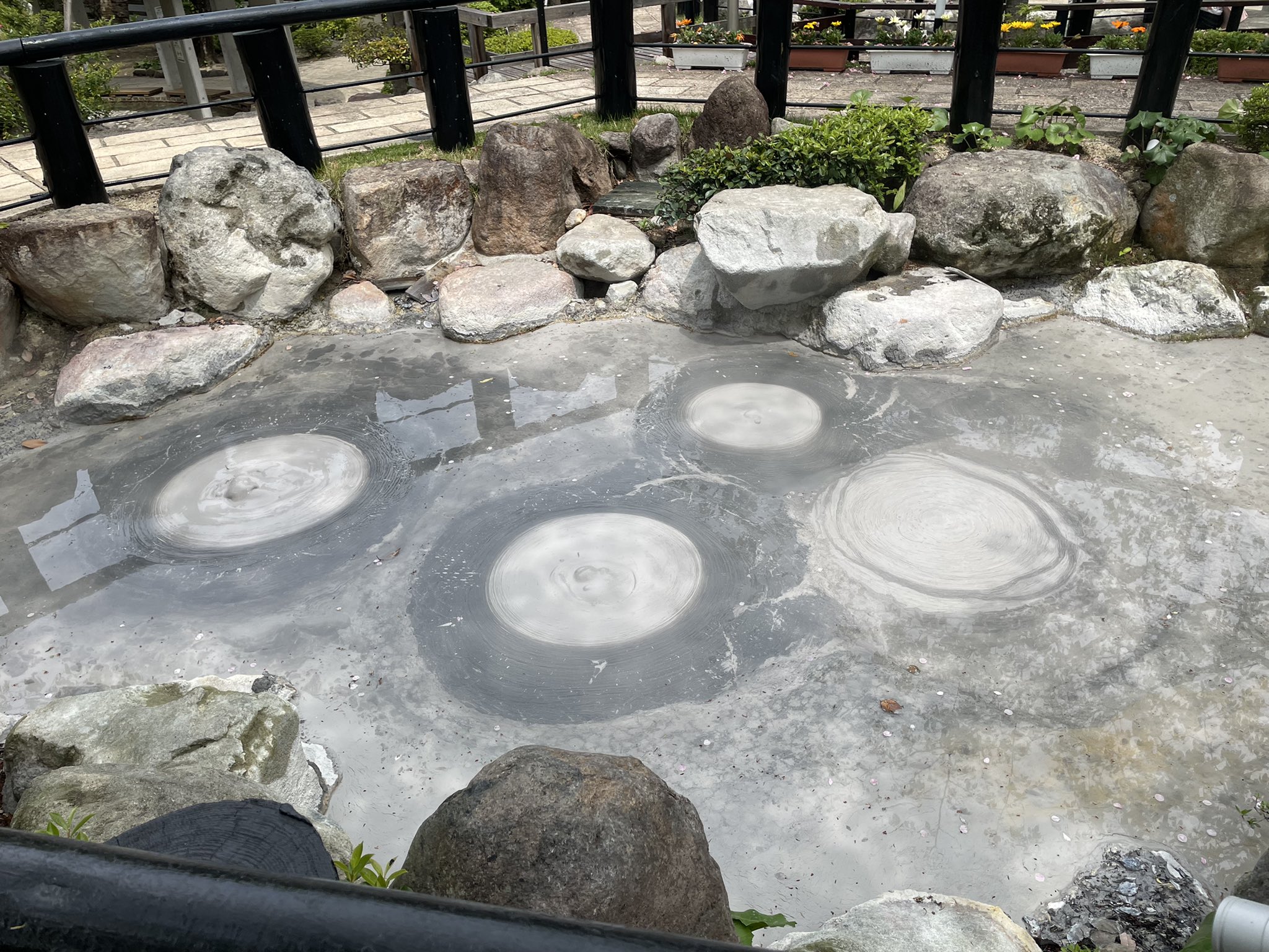 あんず 旅行好き 杉乃井ホテルファンブロガー Tomtoya Twitter