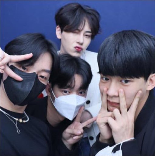 konanhihi_zip's tweet photo. ♡ 부평네컷 ♡ 
 🐱🐯🐰🐥 https://t.co/uCcbXU5Tac