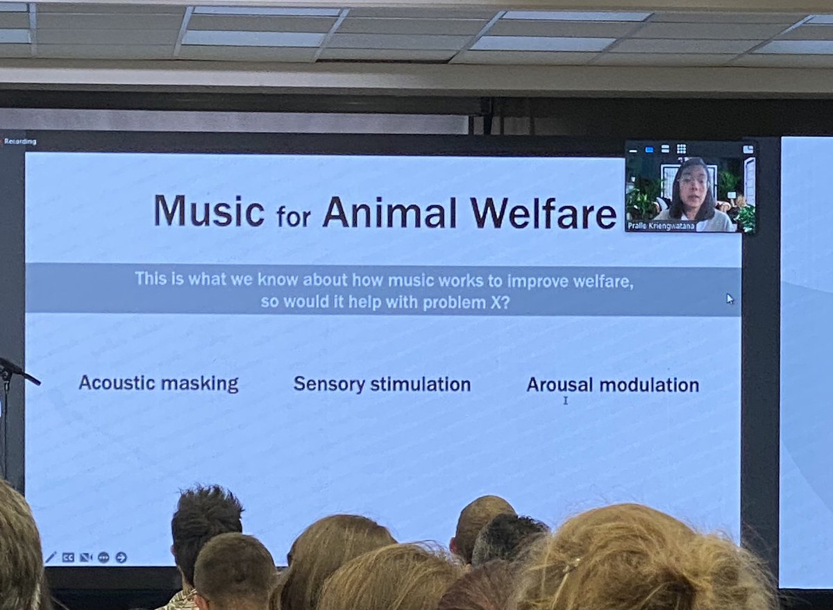 MariaRorvang's tweet photo. Inspiring talk this afternoon by @b_kriengwatana with fascinating theories of how music might (?) affect animals and their welfare. Great to see more animal perception work!! 👏🏼
#acoustic @RO_Mott #animalperception #isae2022 https://t.co/YKron7UCVG