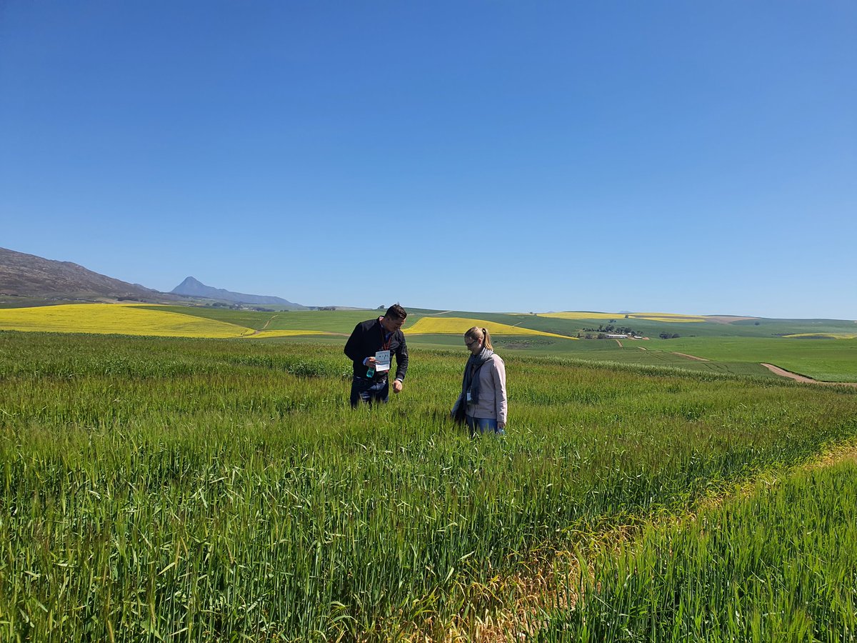 CenGenZA's tweet photo. Proud to be a long term research partner of the South African barley industry. Enjoying the ABInBev and SABBI Grower appreciation day. @Sabbi_barley @abinbev @diplomics_sa https://t.co/0P5bcZ4XpS