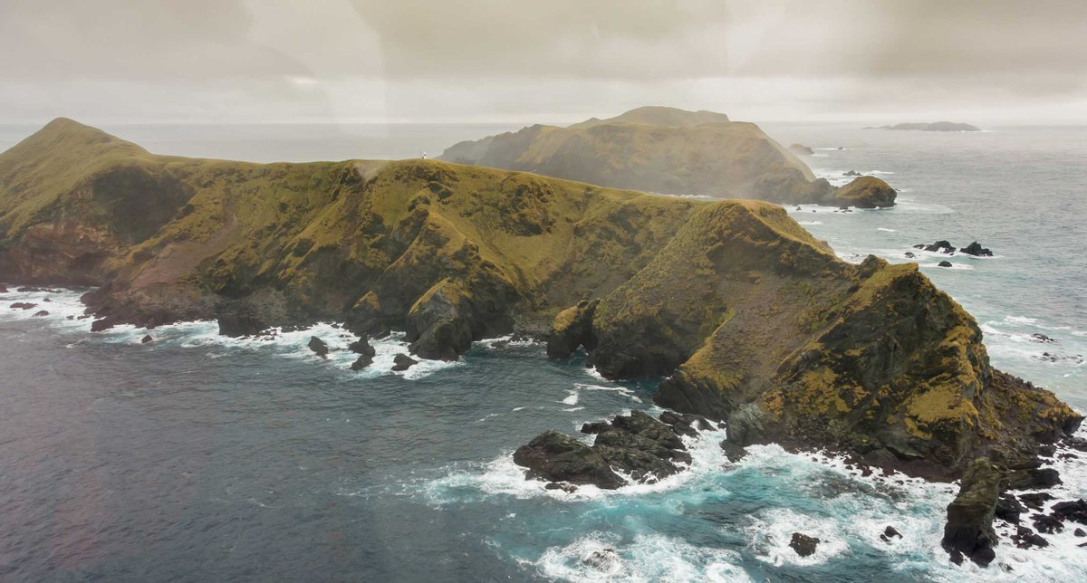 We introduce you to the Subantarctic Rayadito (Aphrastura subantarctica), a NEW #bird species that inhabits a remote island in Chile's southern end!
¡Les presentamos al Rayadito subantártico, una NUEVA especie de #ave que habita una isla remota en el extremo sur de Chile! (1/5)