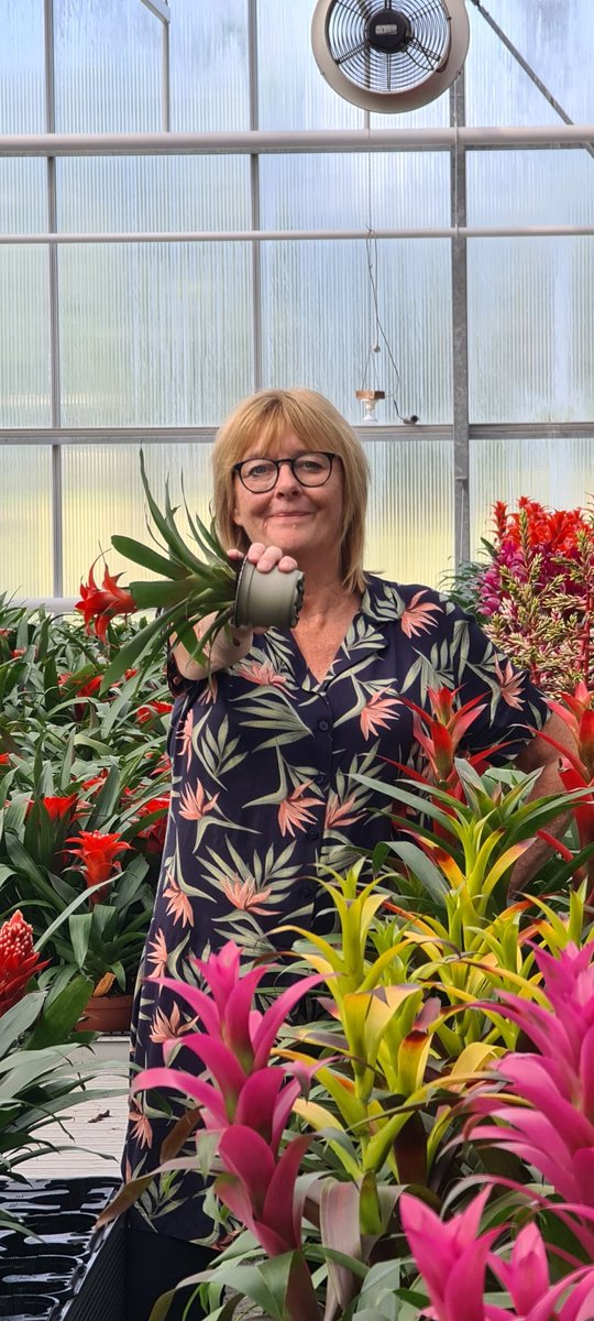 Steun de Glastuinbouw. De Glastuinbouw en Nederland samen door met de energietransitie. De Glastuinbouw maakt duurzame energie mogelijk.  #Bromelia #samendoor #energietransitie #tuidersinactie #kassen teken de petitie stabieleenergieprijs.petities.nl