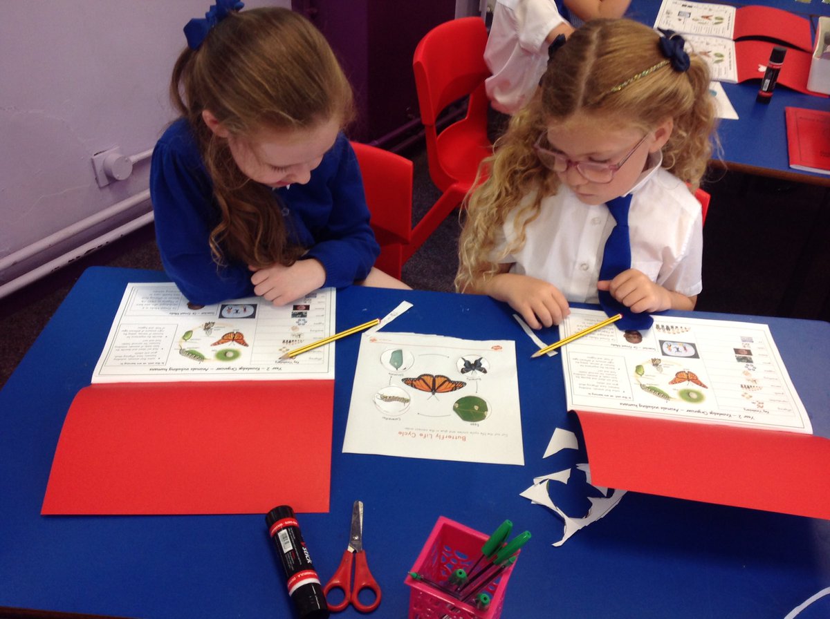 AbbeyPrimary's tweet photo. #y2 have been using their knowledge organisers to help them complete a life cycle of a butterfly. #science https://t.co/cr1VAKgnuv