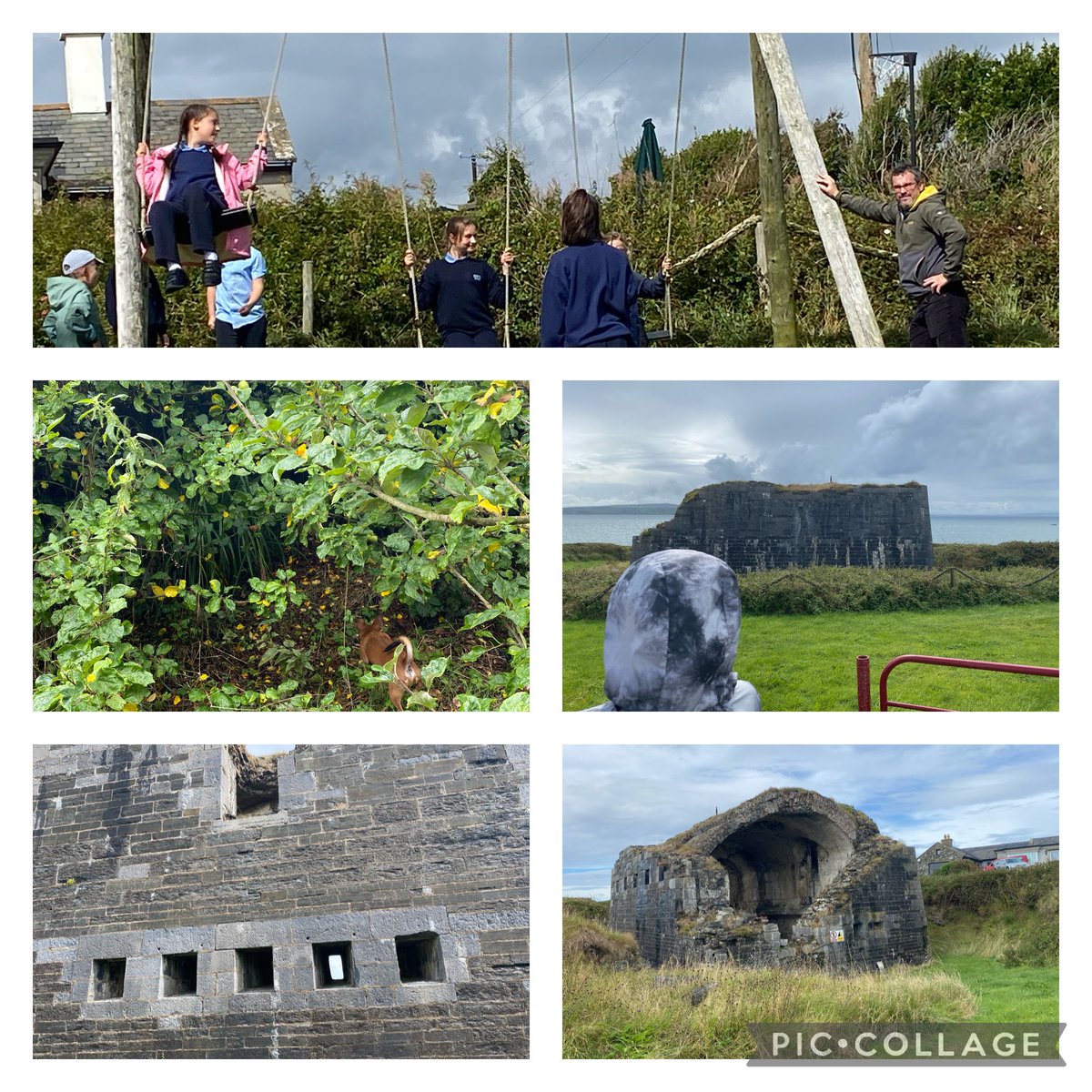 Fabulous trip to the Battery in Doonaha today. History on our doorstep! We also saw an apple tree that is over 100 years old. We picked and ate delicious apples also! Thanks Carmel and buddy for the tour 🙏